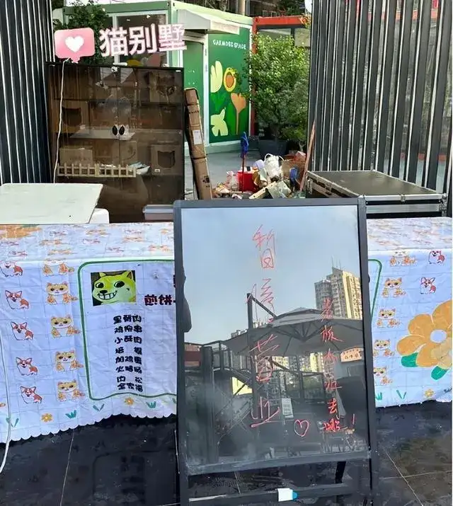 狗头萝莉回应被举报,穿着有曲线也不行 两个多月辗转3个城市-6 狗头萝莉回应被举报,穿着有曲线也不行 两个多月辗转3个城市