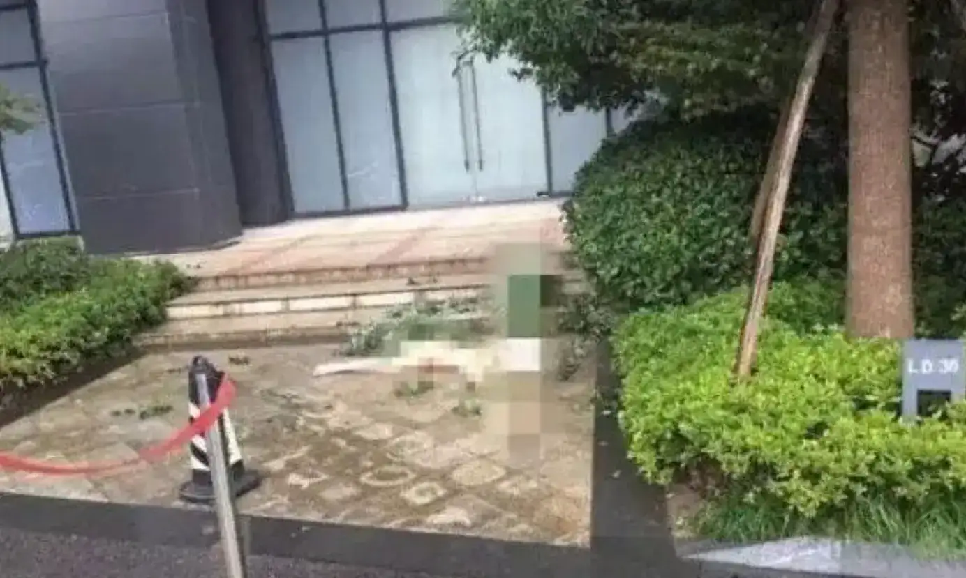 杨旭文和任娇发生了什么,任娇坠楼事件始末全过程-2 杨旭文和任娇发生了什么,任娇坠楼事件始末全过程